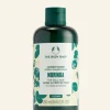 THE BODY SHOP Vedi Tutti Capelli | Balsamo-Balsamo Shine & Protect al Moringa