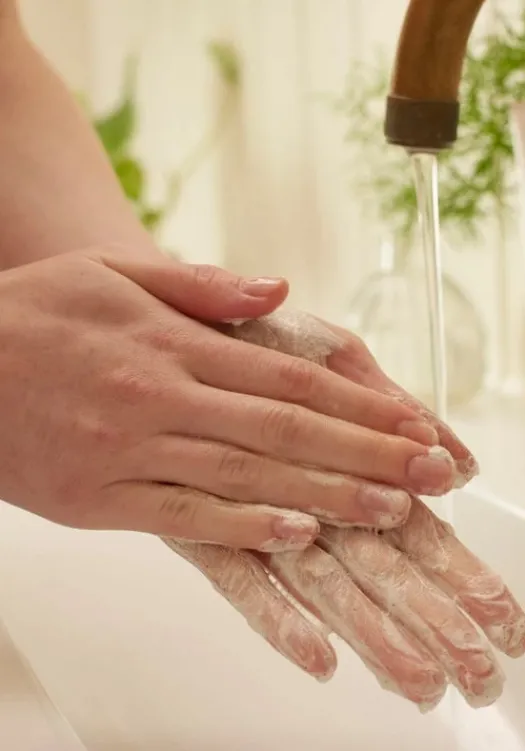THE BODY SHOP Detergenti E Tonici | Per Tipo Di Prodotto-Detergente Schiumoso Purificante Viso al Tea Tree