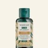 THE BODY SHOP Shampoo | Vedi Tutti Capelli-Shampoo Antiforfora Zenzero
