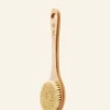 THE BODY SHOP Esfolianti Corpo | Accessori Corpo-Spazzola da bagno cactus con manico lungo